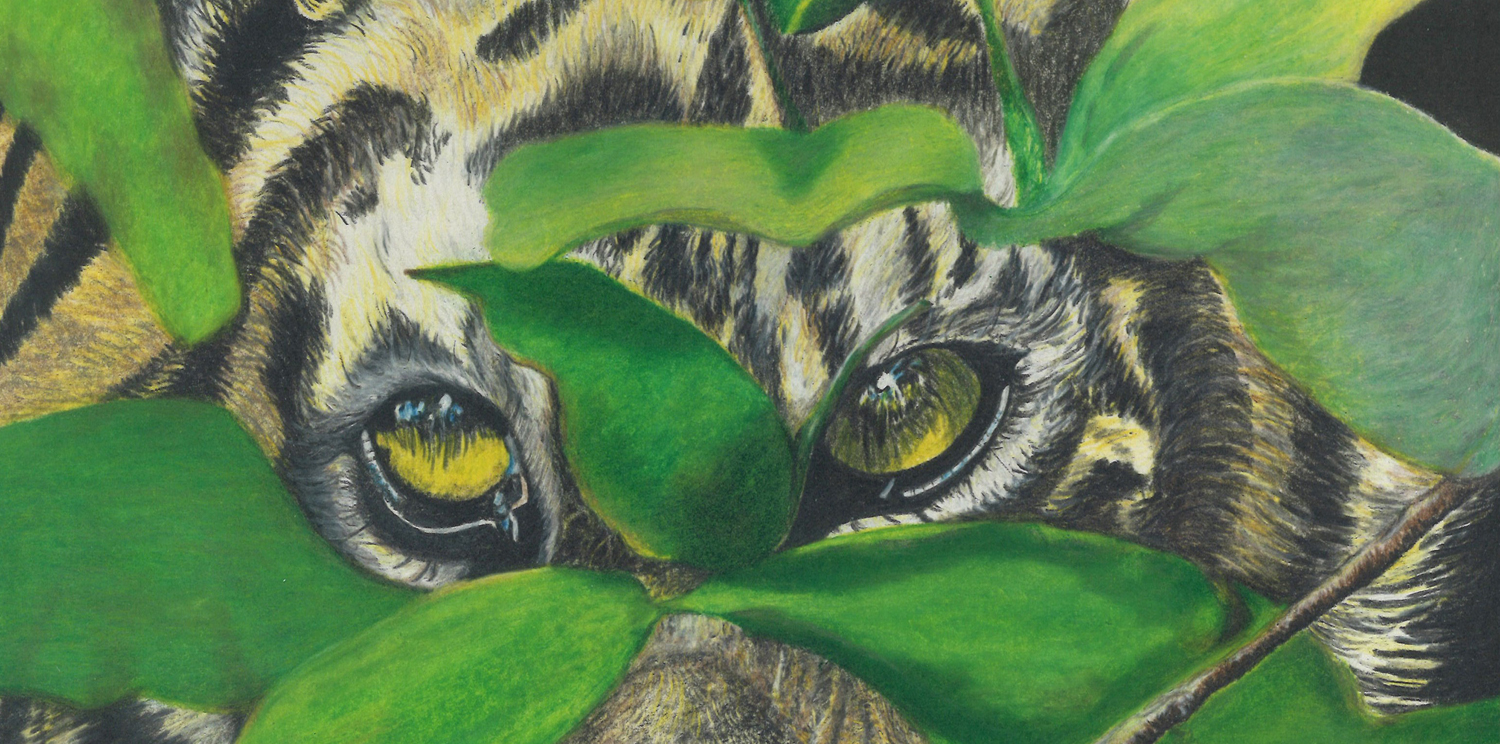 Illustration of tiger eyes peering through leaves.