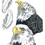 Bald Eagle artwork